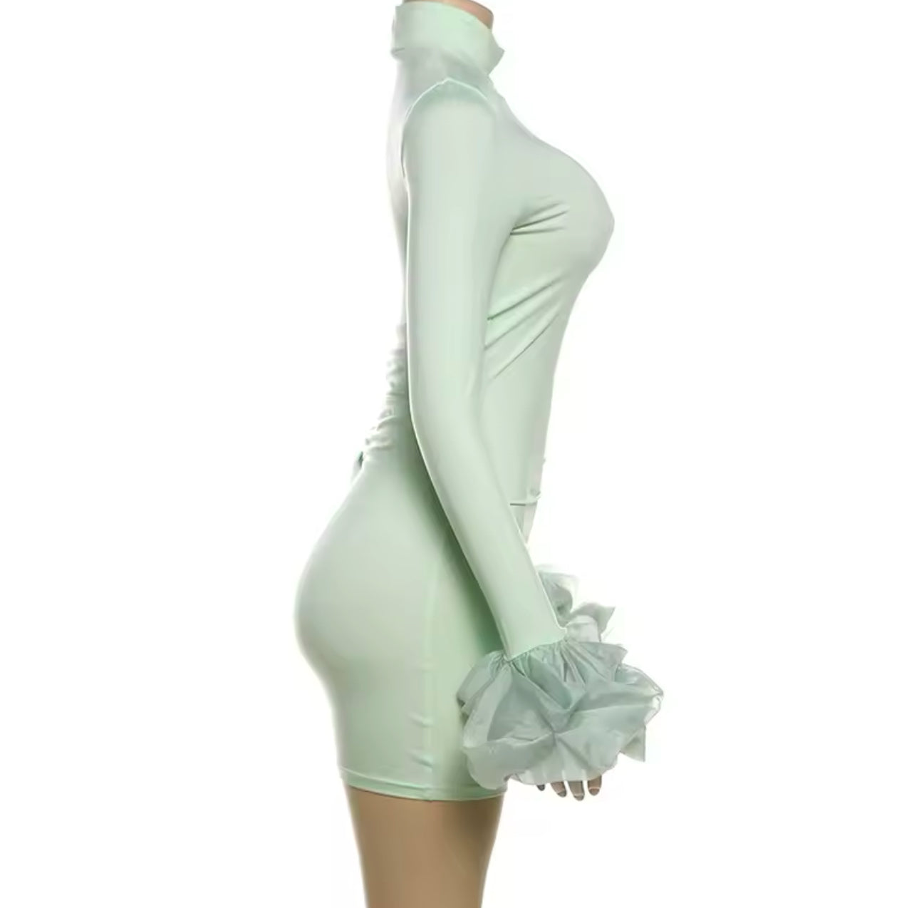 Ruffle Sleeve Dress