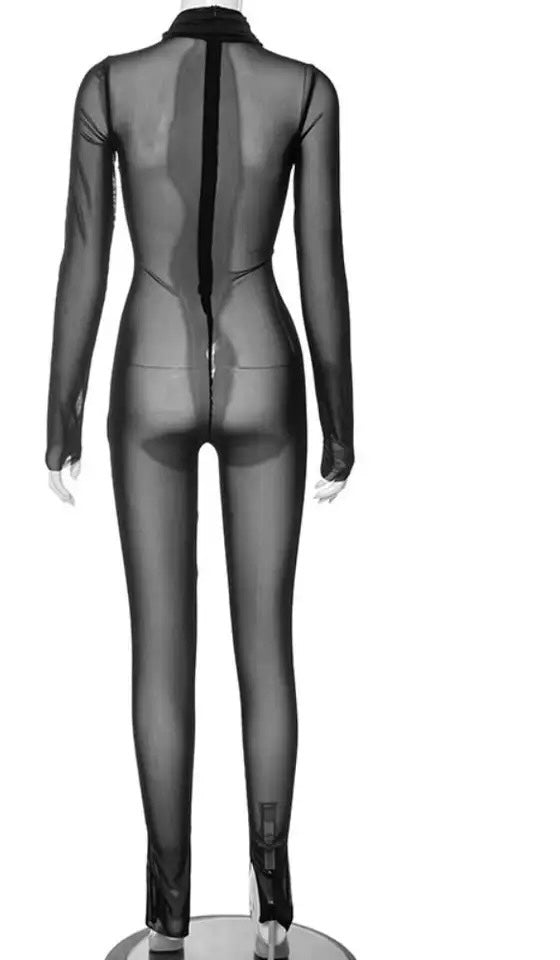 Sheer Jumpsuit