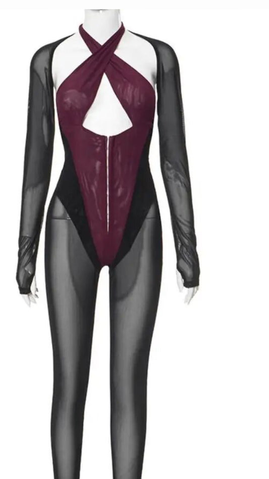 Two Tone Sheer Jumpsuit